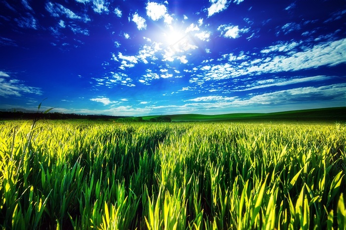 美丽的草原蓝天景色图片