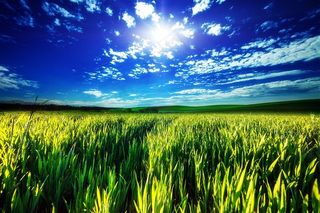 美丽的草原蓝天景色图片