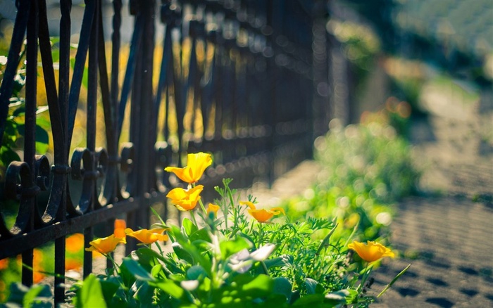 总有阳光照进回忆