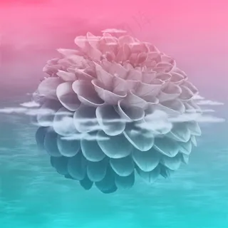 美丽花球背景图