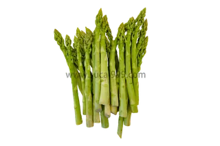 春天的味道-芦笋