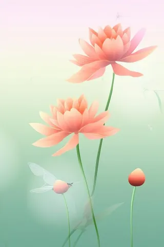 清新风格荷花花瓣简约背景