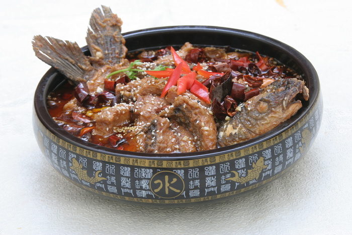 跳水鱼 (3)