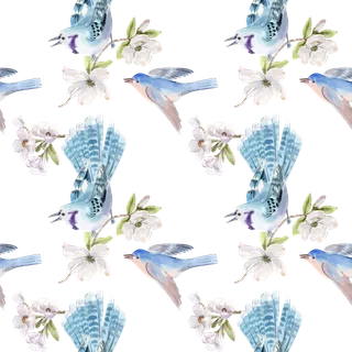 插画春鸟免抠素材