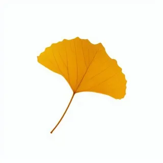 银杏叶秋天黄色树叶免抠元素