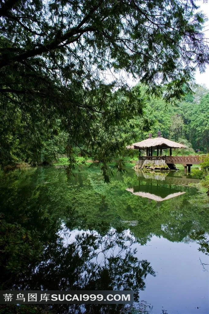 阿里山湖泊美景素材