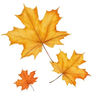 黄色的叶子免抠