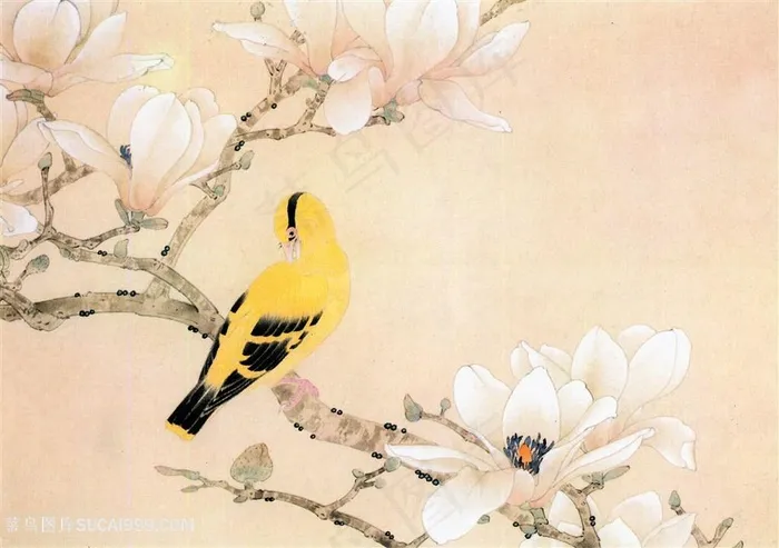 高清站在树上的黄鹂花鸟国画图片