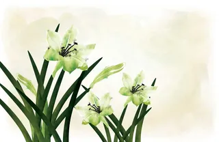 绿色唯美风水墨画兰花鲜花图片素材