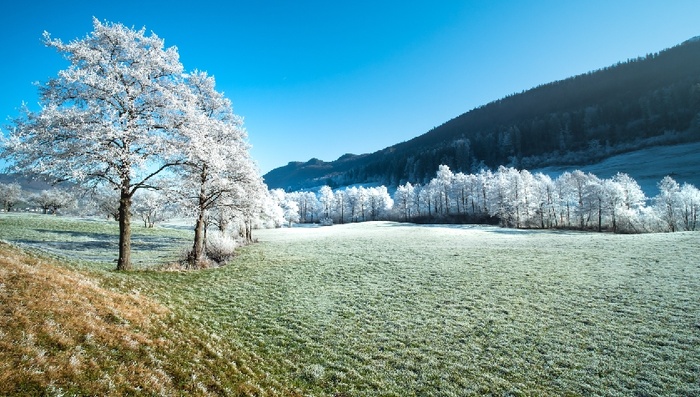 冬天白雪背景风景