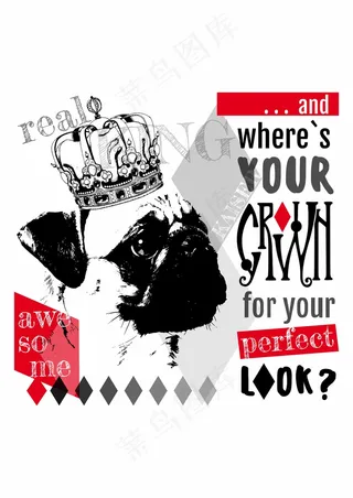 国王小狗海报 艺术英文设计