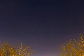 高清唯美星空夜空树枝