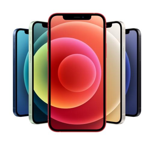 iPhone 12 PNG免抠(1146x1082)