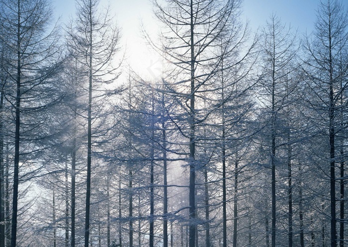 冰天雪地 495