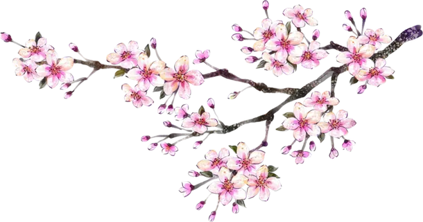 粉色简约风手绘鲜花花朵水墨画PNG素材图片 (98)