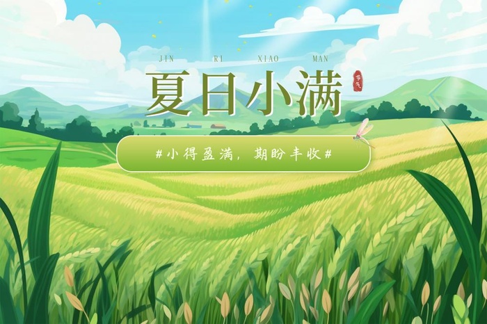 小满节气夏日农田小麦丰收手绘banner(3000x2000)psd模版下载