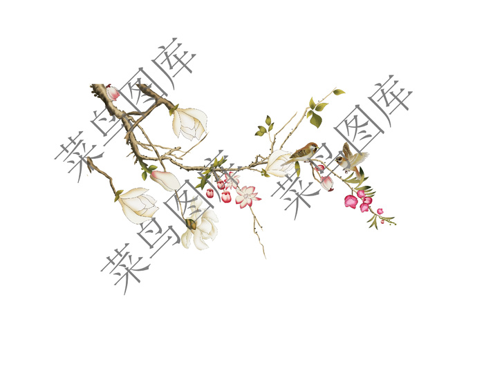 树枝开花 鸟高清图ai矢量模版下载