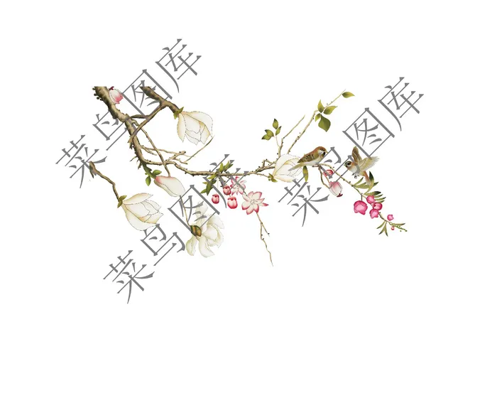 树枝开花 鸟高清图ai矢量模版下载