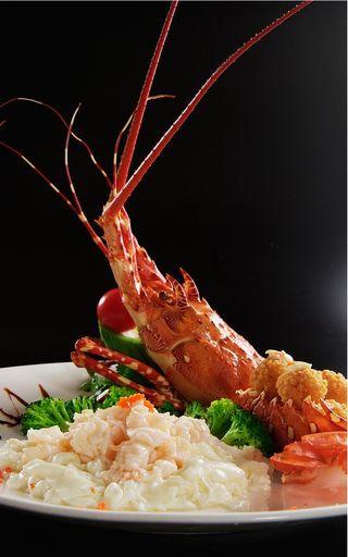 H00138鸿运大澳龙