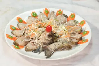 45清蒸边花鱼  东北菜馆