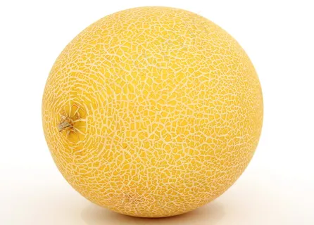 黄色哈密瓜图片