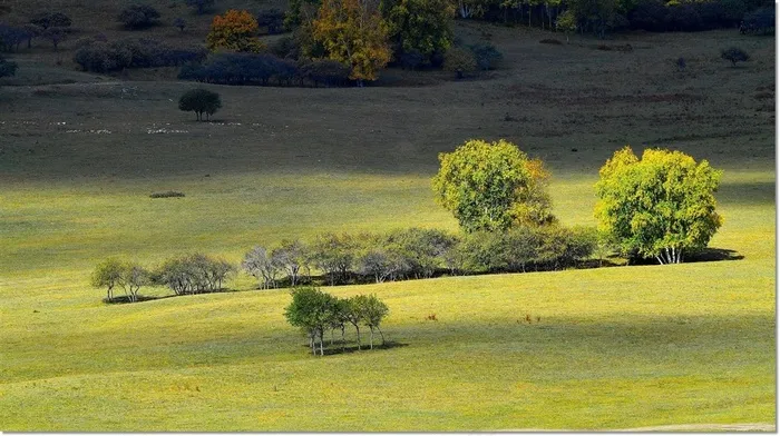 唯美坝上草原风光