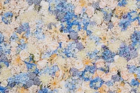 春季春天紫色蓝色花墙鲜花卉高清背景