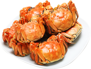 免抠丰富的食物螃蟹