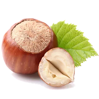 72榛子3干果超市商品白底图免抠实物摄影png格式图片透明底