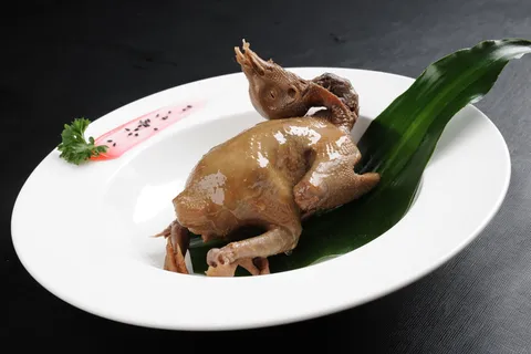 LCH2621一品皇油鸽