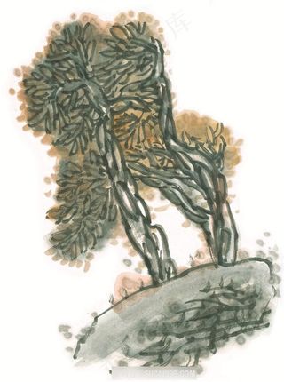 古木绘画素材