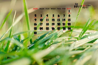 4月月历壁纸