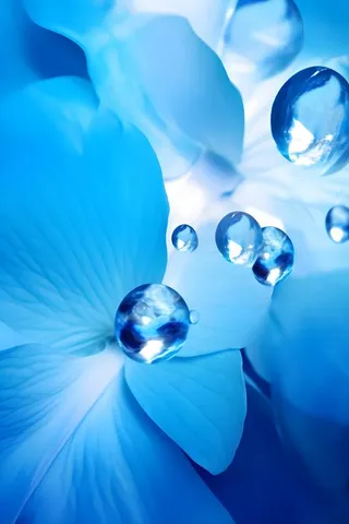 清新露珠蓝白色背景