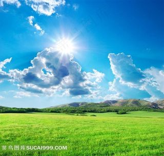 清新草原风景高清图片