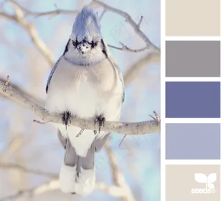 冬天系配色色卡色彩搭配