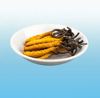 名贵中药虫草抠图 名贵中药虫草抠图