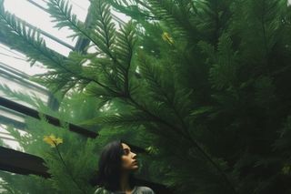 树枝绿色质感摄影