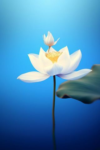 蓝色简约大气荷花意境背景