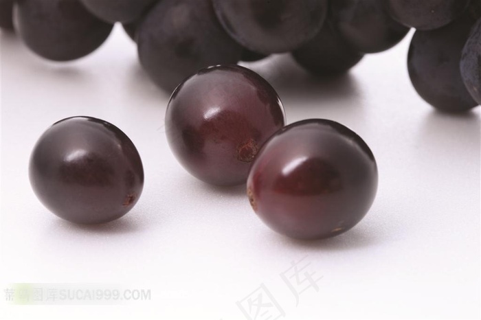 李子高清图片设计素材