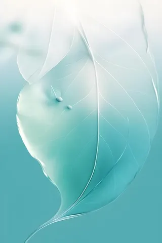 树叶露珠青色大气意境背景