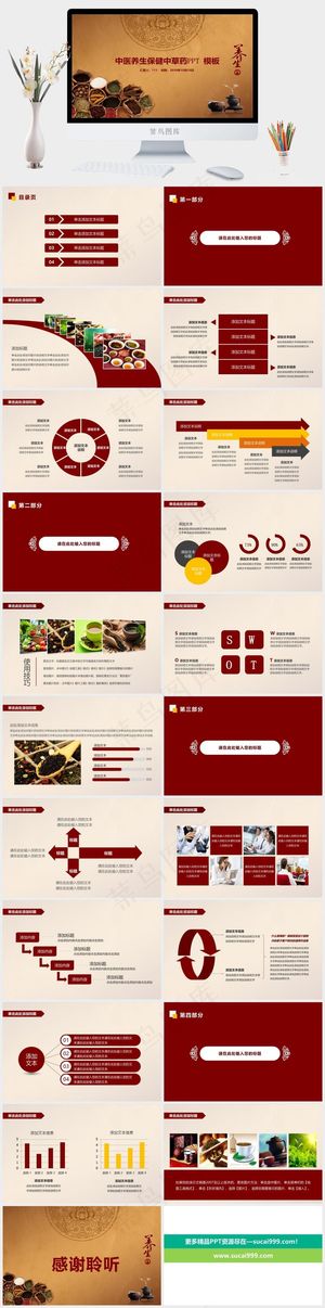 中药中医治病PPT模板ppt模版