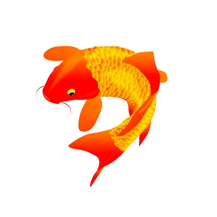 手绘烫金国潮中国风卡通锦鲤鱼金鱼插画装饰元素PSD设计素材