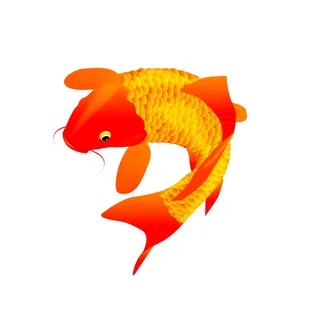 手绘烫金国潮中国风卡通锦鲤鱼金鱼插画装饰元素PSD设计素材