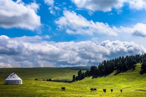 新疆喀拉峻草原风景高清图