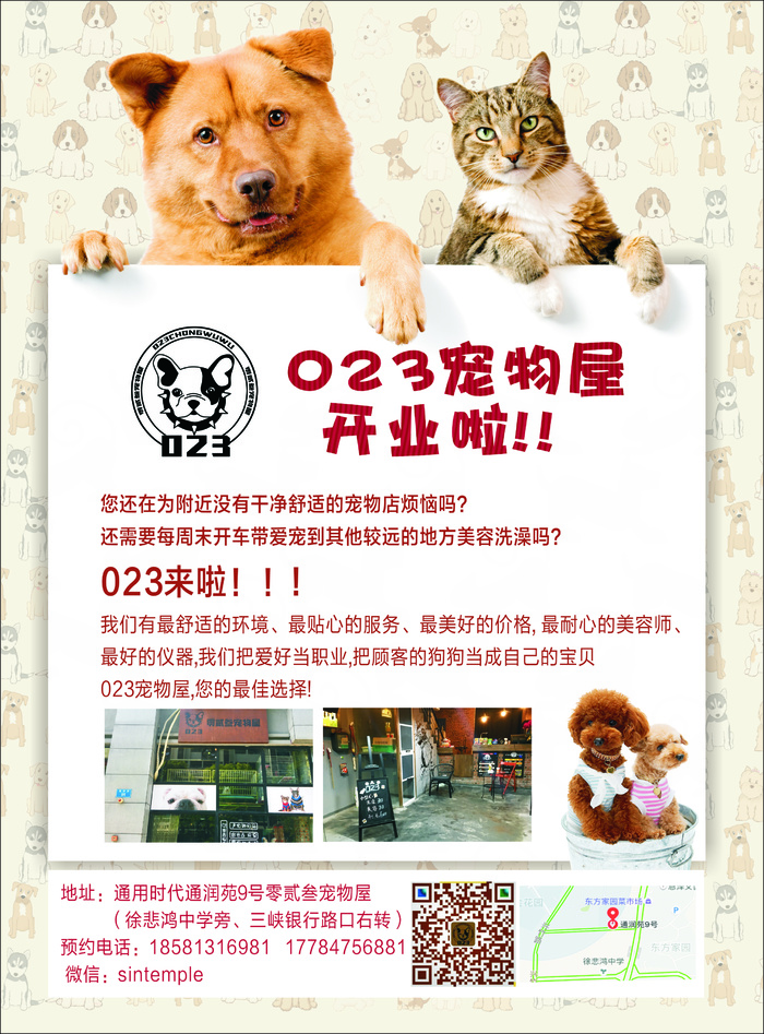 宠物店彩页cdr矢量模版下载