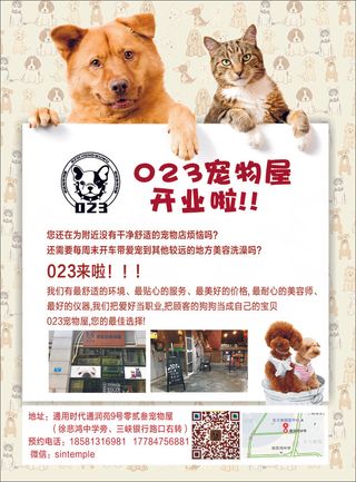 宠物店彩页