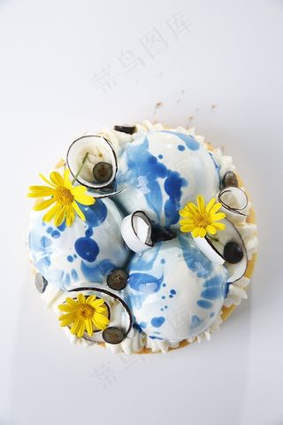 王森海洋雏菊蛋糕