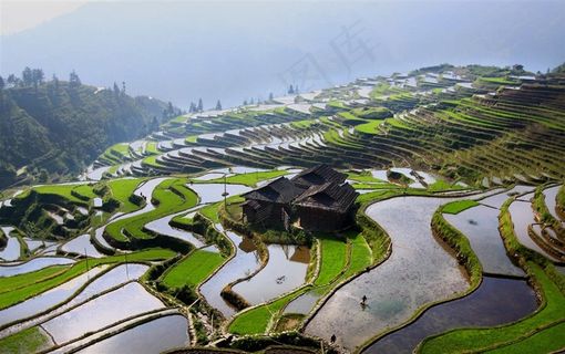 贵州加榜梯田风景美图