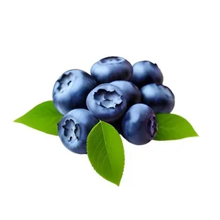 蓝莓水果免抠