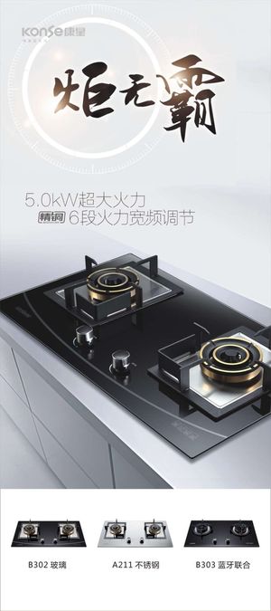 康星电器宣传展架海报八